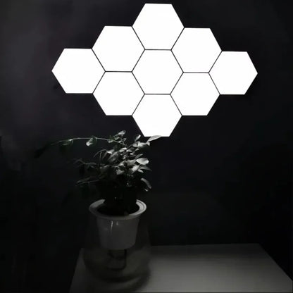LifeHub Hex Touch