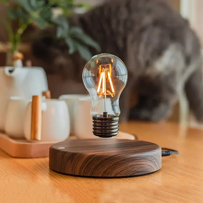 LifeHub Luna Orbit